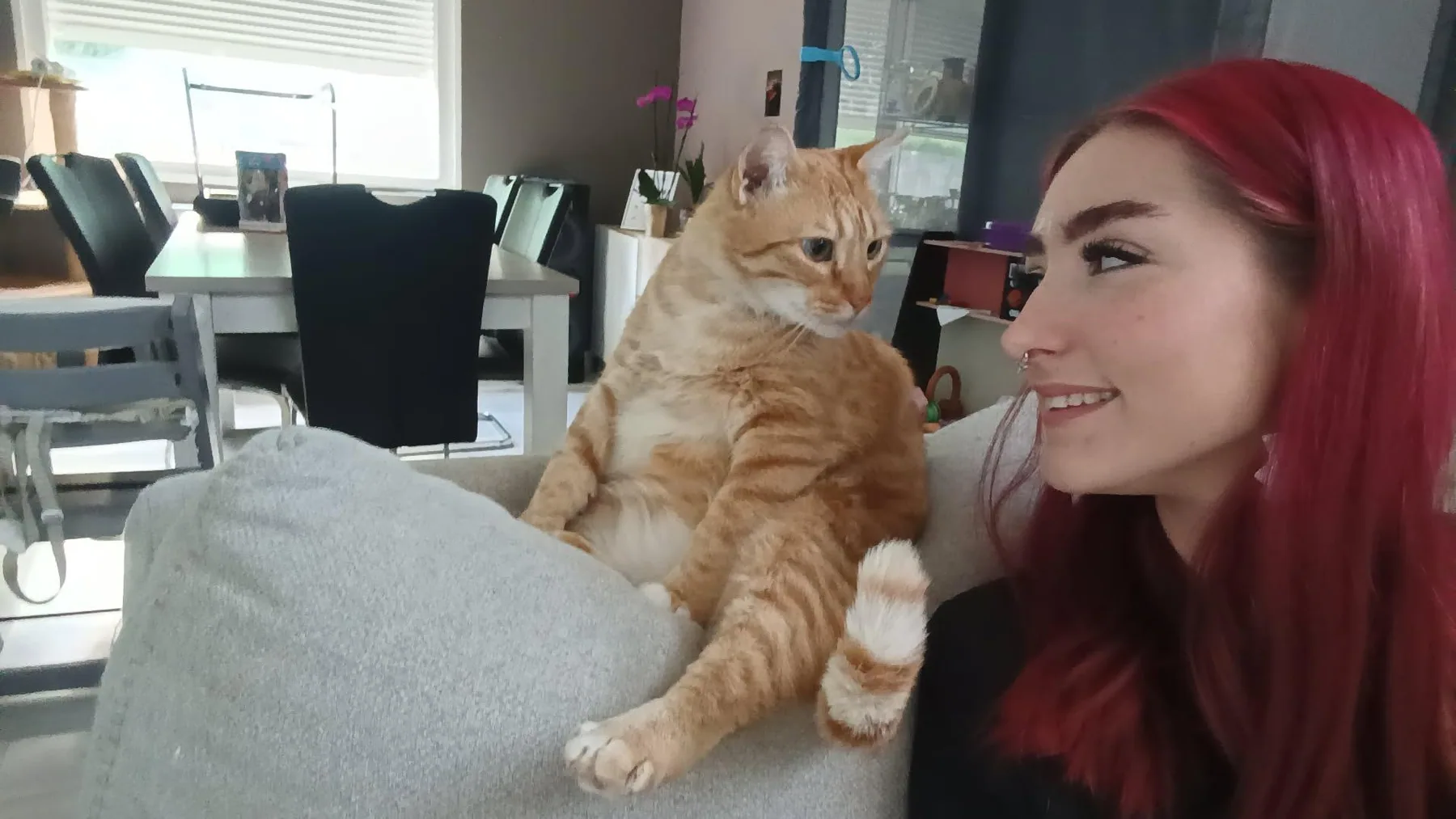 Laura Scholer avec un chat lors d'une garde à domicile