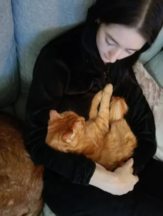 Chat câliné pendant une garde à domicile