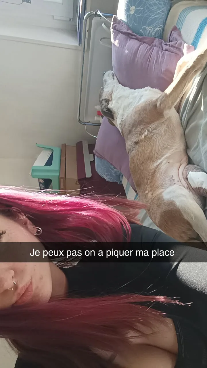 Photo de la galerie