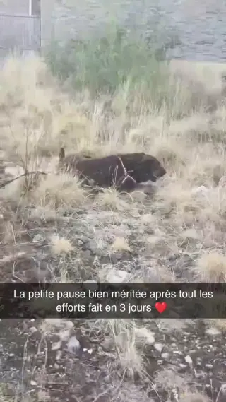 Vidéo de la galerie
