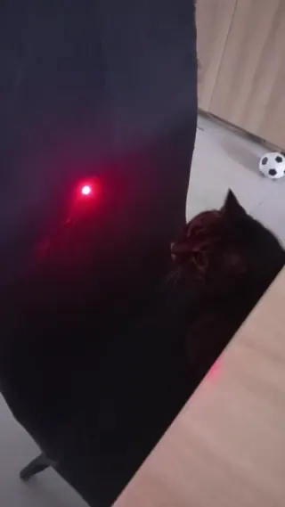 Vidéo de la galerie
