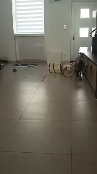 Vidéo de la galerie