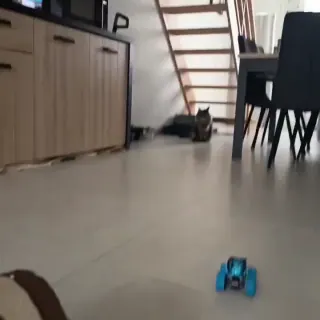 Vidéo de la galerie