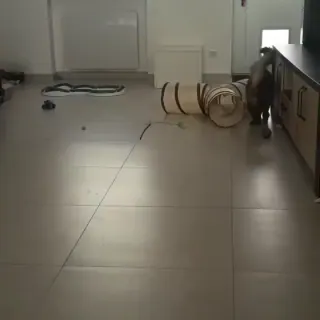 Vidéo de la galerie