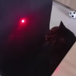 Vidéo de la galerie